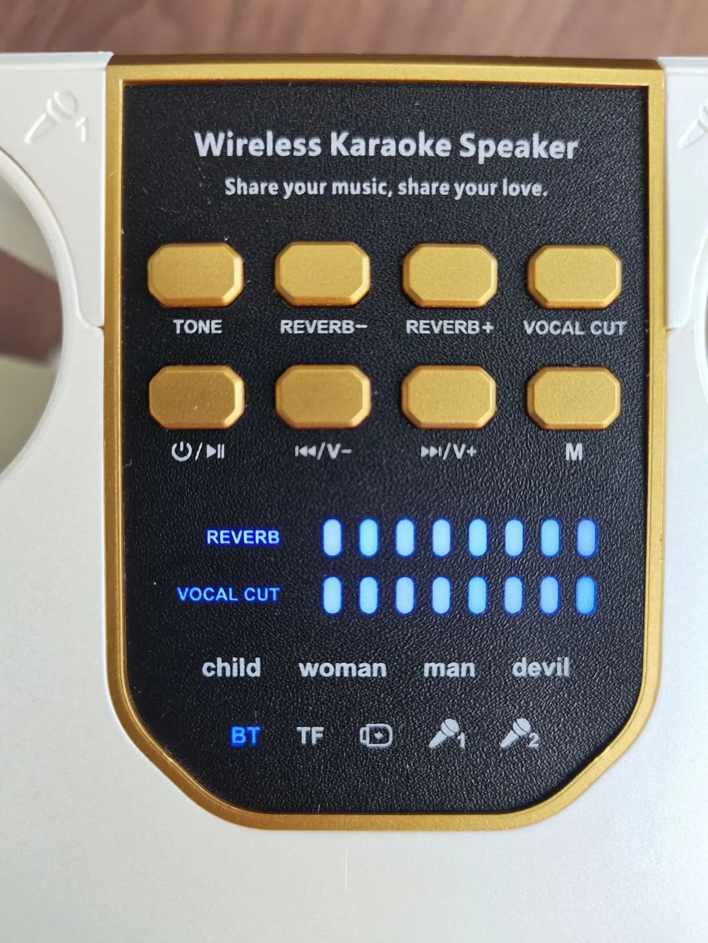 S882 Karaoke Bluetooth Speaker – Portable Wireless Party Speaker with Dual Microphones.